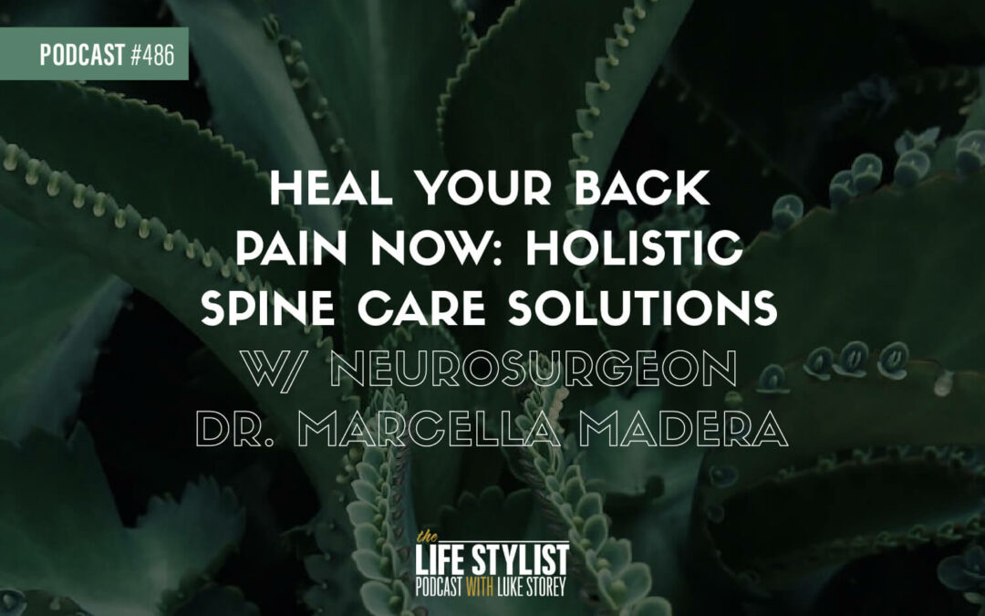 the life stylist podcast with luke story heal your back pain now